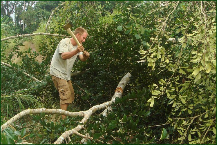 im a lumber jack and im OK