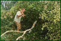 Im a lumber jack and im OK