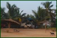 Green turtle camp site