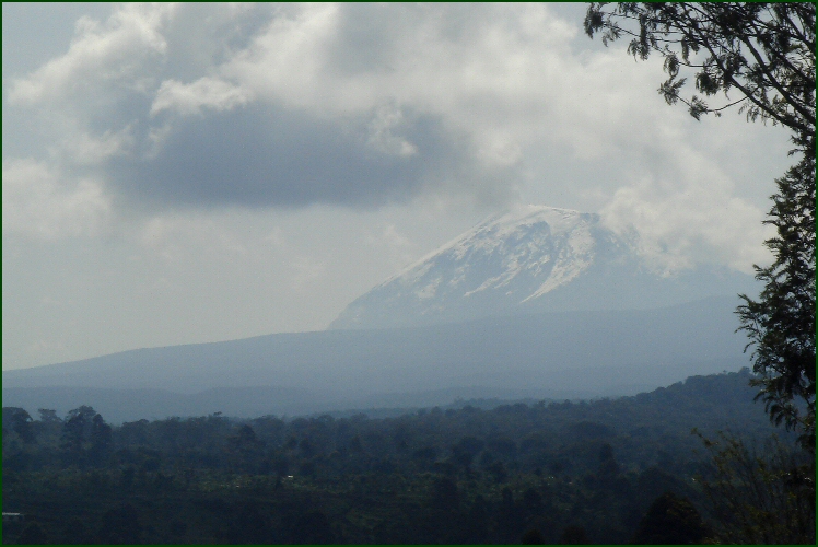 kilimanjaro